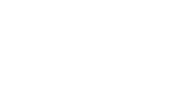 ankora-lost-days-v1.07-logo