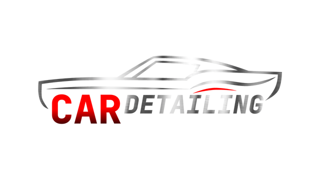 car-detailing-simulator-build-10063520-repack-logo