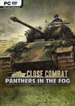 close combat panthers in the fog v630733 thumbnail 1