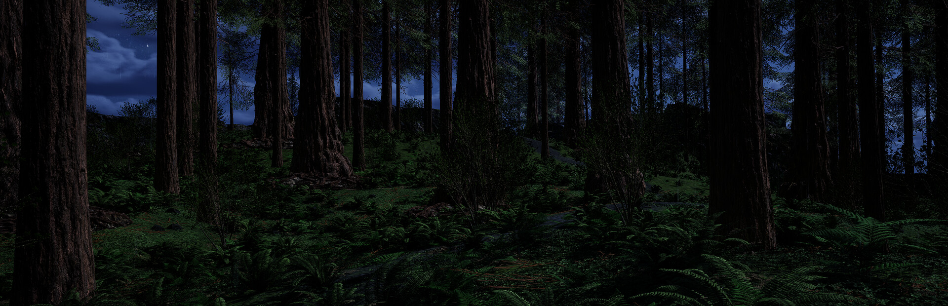 dark-forest-tenoke-hero-image