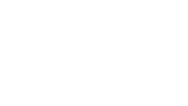 domina-v1.3.25-logo