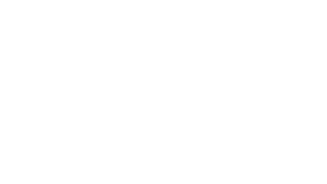 dust-fleet-v1.2-logo