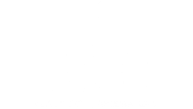 light-black-cat-and-amnesia-girl-build-9834291-logo