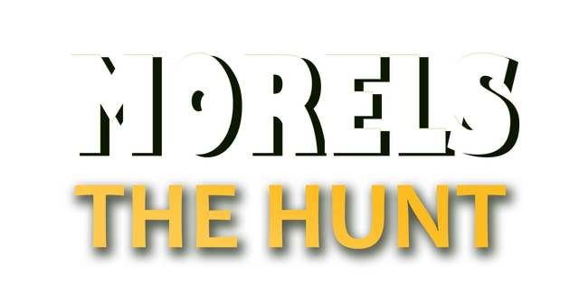 morels-the-hunt-build-12226474-logo