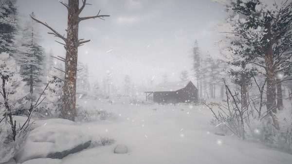 northern-lights-build-10202275-screenshots