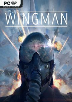 project wingman build 12334196 thumbnail 1