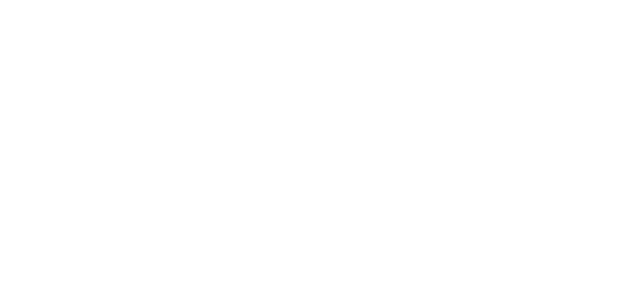 stalker-call-of-pripyat-true-stalker-v1.4-repack-logo