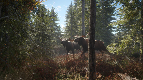 thehunter-call-of-the-wild-v2649775-tenoke-screenshots