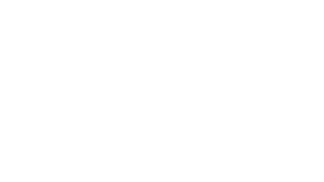 wildmender-rune-logo