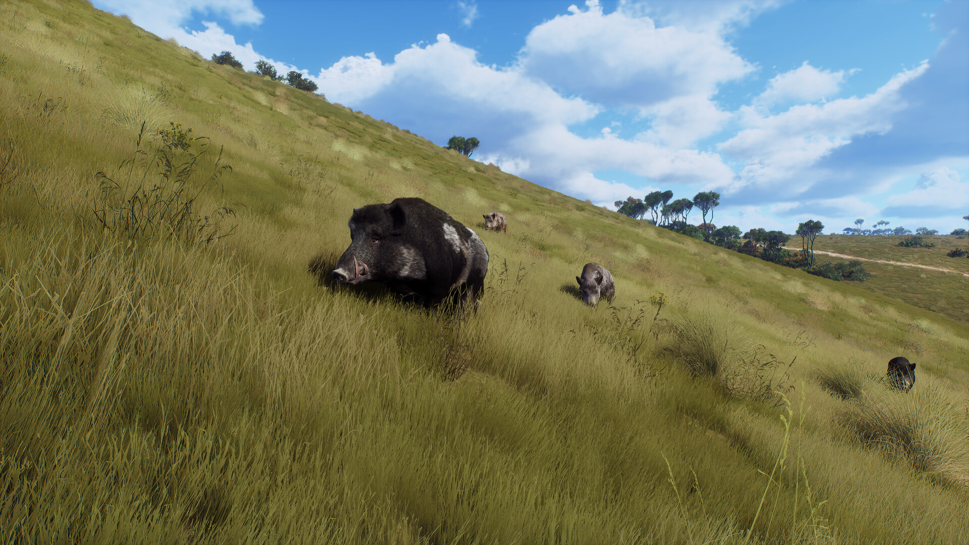 Way of the Hunter Matariki Park-RUNE Free Download 5 way-of-the-hunter-matariki-park-rune-screenshots