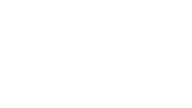 baggage-inspector-tenoke-logo