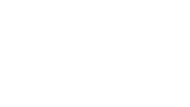 the-ensign-v19.1-logo